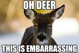 image of a real embarrassingdeer